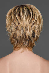 GF14-88SS GOLDEN WHEAT