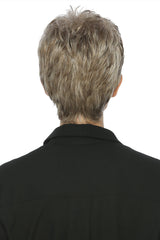 r17/101 ash brown platinum blonde blend