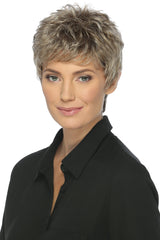 r17/101 ash brown platinum blonde blend