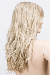 CHAMPAGNE ROOTED