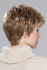 LIGHT BERNSTEIN ROOTED