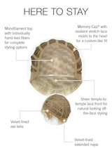 Here To Stay (FLASH)