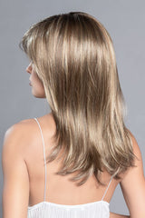 LIGHT BERNSTEIN ROOTED