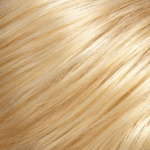 24B613 light golden blonde & pale natural golden blonde blend