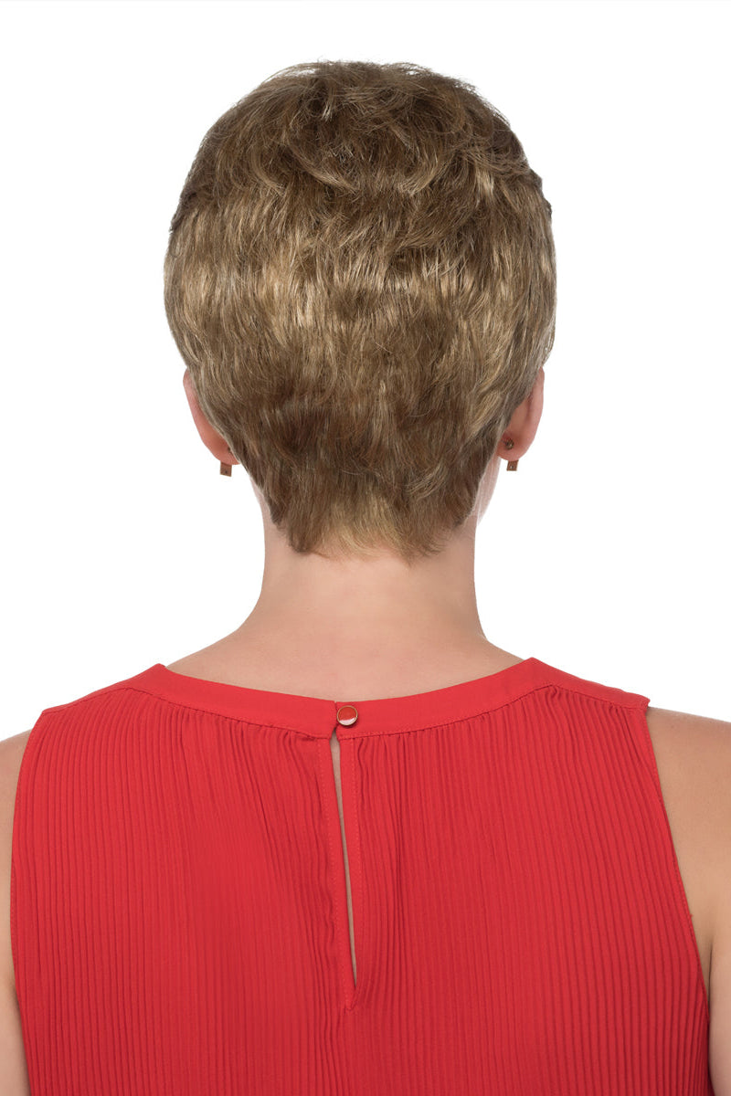 r14/26h dark blonde golden blonde highlights