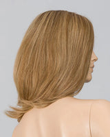 LIGHT BERNSTEIN ROOTED