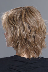 LIGHT BERNSTEIN ROOTED