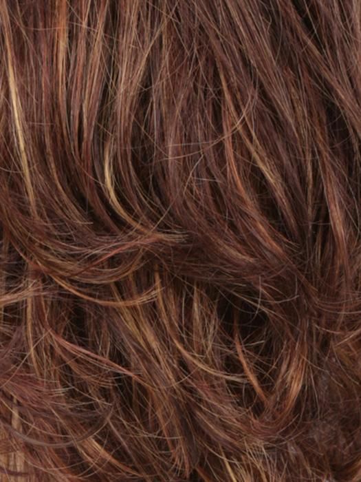 R32/33/40F Dark Brown Dark Auburn With Medium Golden Blonde Frost