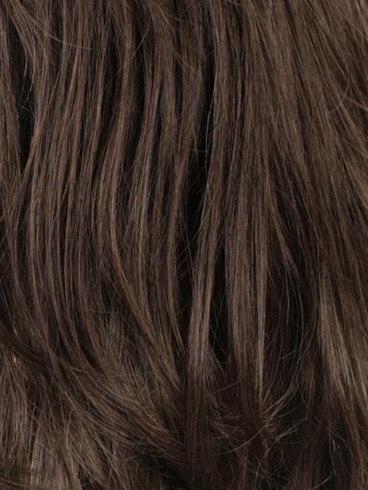 R6-10 Chestnut Brown And Medium Ash Brown Blend