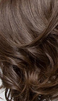 Simmer Elite Petite by Raquel Welch Heat Synthetic Wig – CHIQUEL