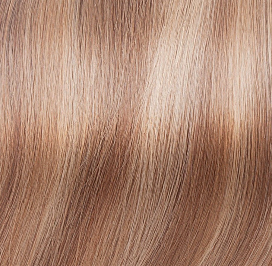 SS14/26/R10 Autumn Maple